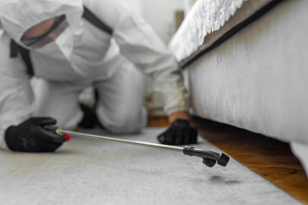 Professional Pest Control technician working in Gratton, VA